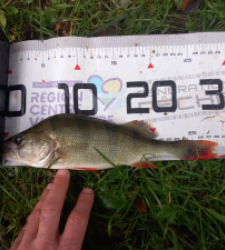 photo prise 51522 par Hugo