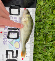 photo prise 51523 par metaisedgar