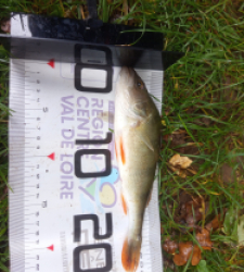 photo prise 51527 par glinche.family