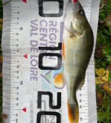 photo prise 51531 par metaisedgar