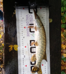 photo prise 51533 par jullienamelie