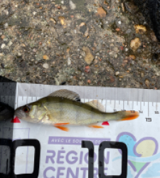 photo prise 51540 par tomkeo2008