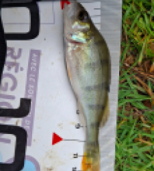 photo prise 51542 par chdadvisard