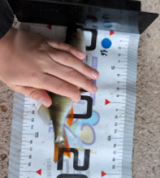 photo prise 51574 par Leobrochet