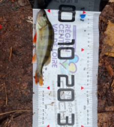 photo prise 51575 par Morgan