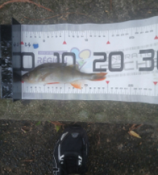 photo prise 51576 par 