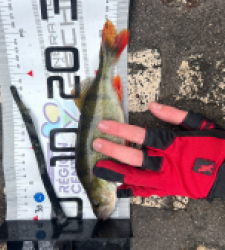 photo prise 51577 par 