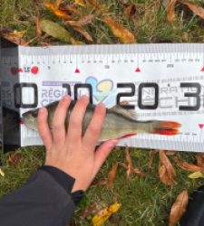 photo prise 51578 par 