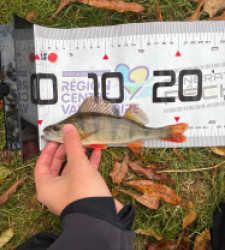 photo prise 51579 par 