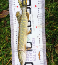 photo prise 51580 par steph