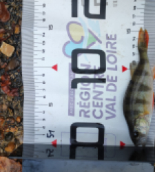 photo prise 51581 par GuiZ viens on pêche