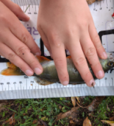 photo prise 51582 par Leobrochet