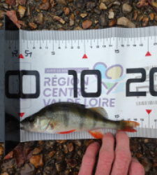 photo prise 51584 par GuiZ viens on pêche