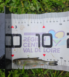 photo prise 51585 par Pecheur d'eau douce