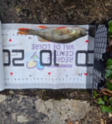 photo prise 51587 par Adidz