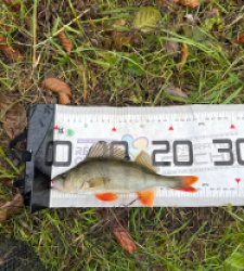 photo prise 51586 par 