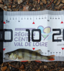 photo prise 51590 par GuiZ viens on pêche