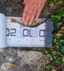 photo prise 51588 par Adidz