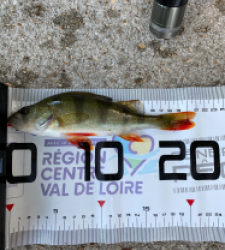 photo prise 51589 par Ben