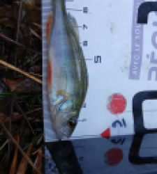 photo prise 51591 par 