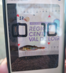 photo prise 51592 par AaronPike