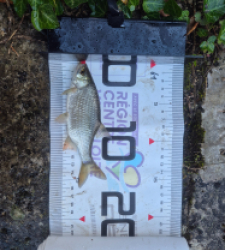 photo prise 51593 par Adidz