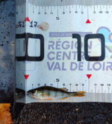 photo prise 51595 par AaronPike