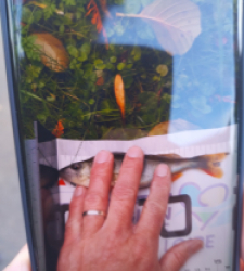 photo prise 51594 par girard-benoit