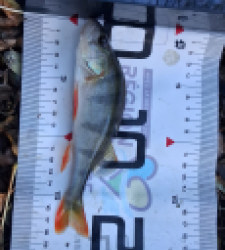 photo prise 51596 par Julien41