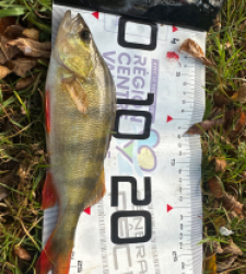 photo prise 51597 par Morgan 