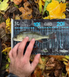 photo prise 51598 par Thomas Gallois