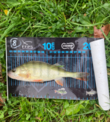 photo prise 51599 par timothy.ducrot