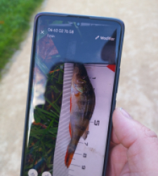 photo prise 51600 par 