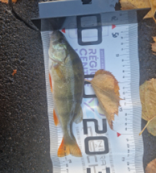 photo prise 51602 par LOUANN06