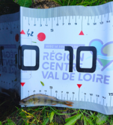 photo prise 51603 par Paulgarfish 