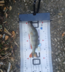 photo prise 51604 par 