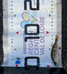 photo prise 51606 par Morgan