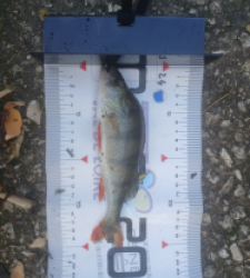 photo prise 51605 par 