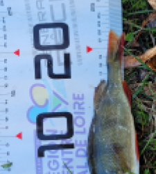 photo prise 51607 par leandre.charrier