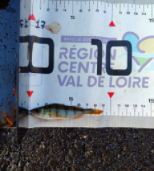 photo prise 51608 par AaronPike