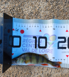 photo prise 51609 par Paulgarfish 