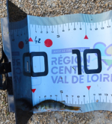 photo prise 51611 par Paulgarfish 