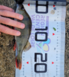 photo prise 51613 par leandre.charrier