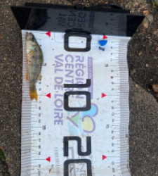 photo prise 51615 par Morgan