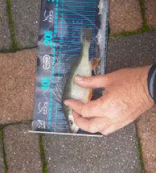 photo prise 51618 par JEAN RENE DENNETIERE