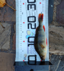 photo prise 51619 par AaronPike