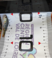 photo prise 51620 par GuiZ viens on pêche