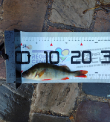 photo prise 51621 par AaronPike