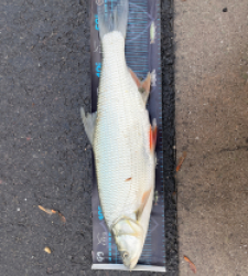 photo prise 51622 par Bara Benjamin