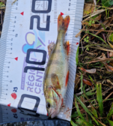 photo prise 51623 par pinponmusiat